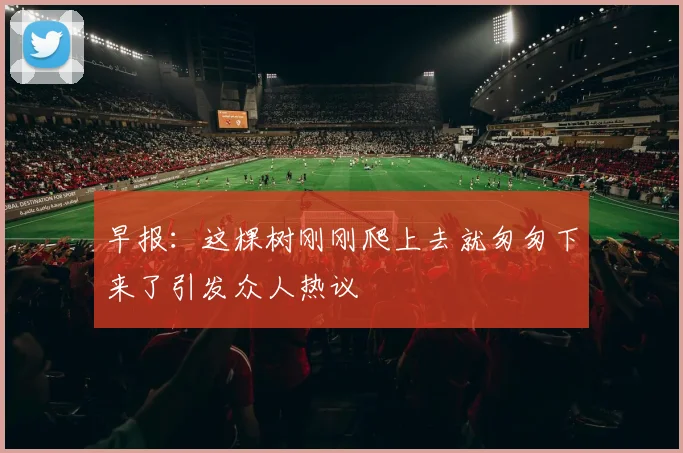 早报：这棵树刚刚爬上去就匆匆下来了引发众人热议